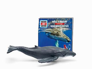 Tonie Figures WHAT IS WHAT Whales & Dolphins / Secret Deep Sea Audio Figure for Toniebox