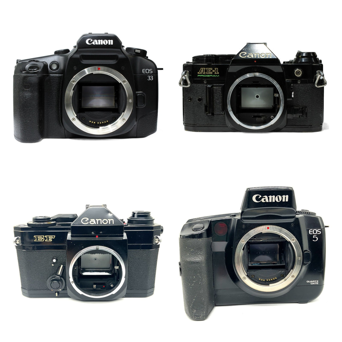 Canon SLR Body Auswahl EOS33 AE-1 Program EF EOS 5 10 analog Spiegelreflexkamera